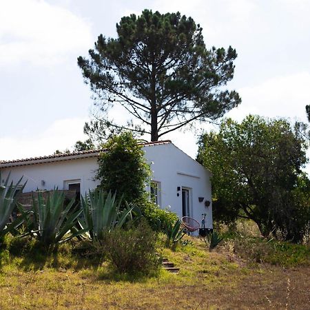 Monte Da Urze Aljezur - Agroturismo 外观 照片