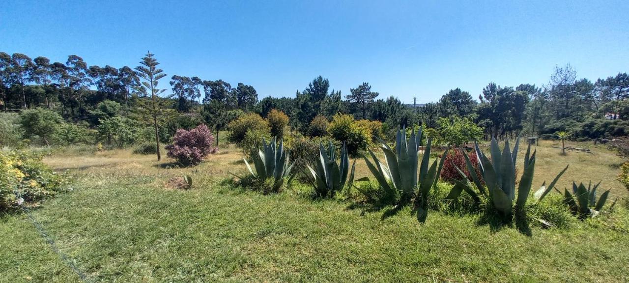 Monte Da Urze Aljezur - Agroturismo 外观 照片
