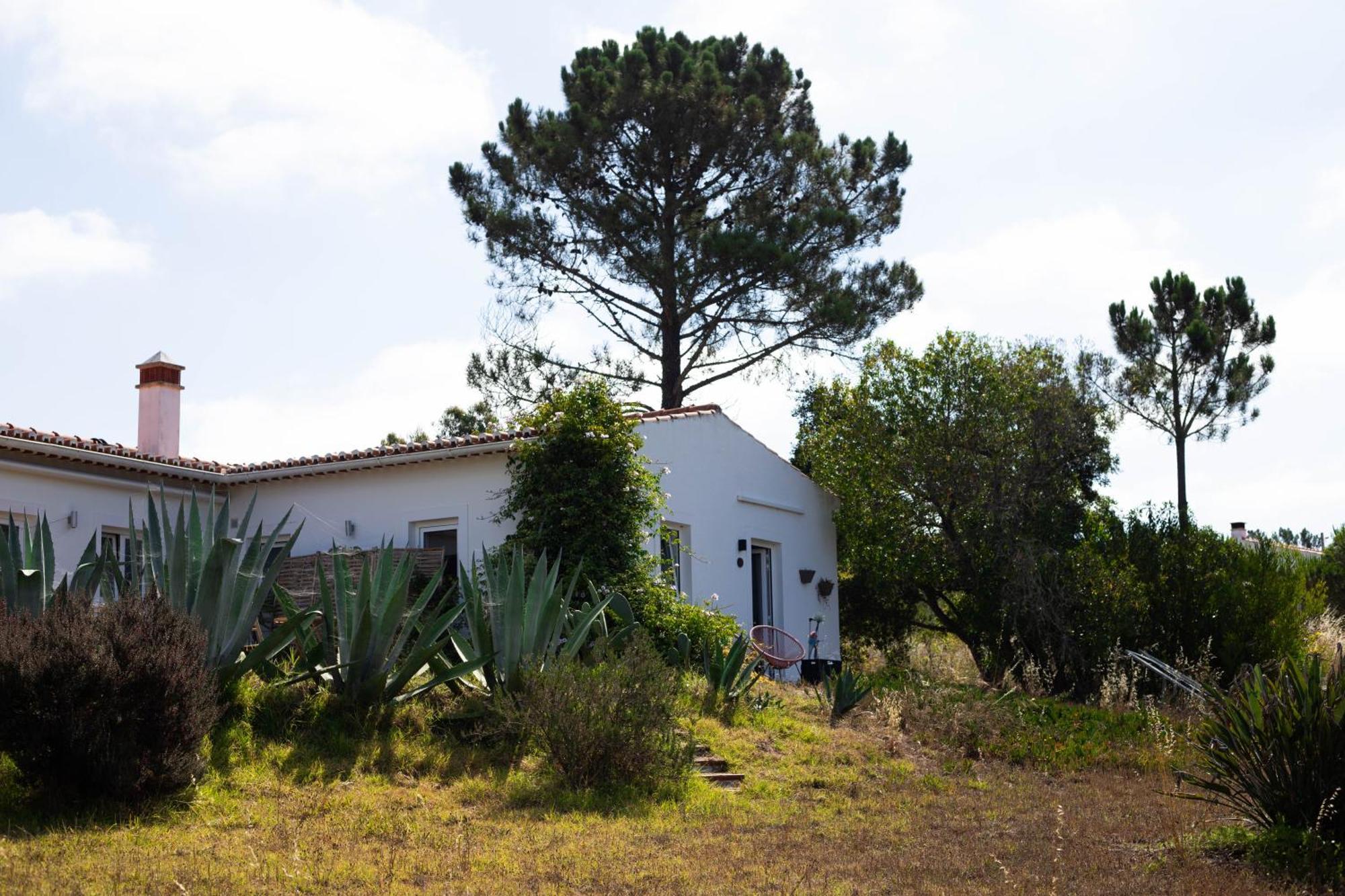 Monte Da Urze Aljezur - Agroturismo 外观 照片